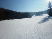 http://www.skidrienica.sk/ [val]