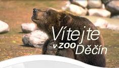 http://www.zoodecin.cz/ [val]