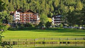 Vložil / webový link/ zdroj: www.linserhof.info