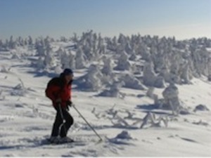 http://zima.martinky.com/sk/po-lyzovacke/skial