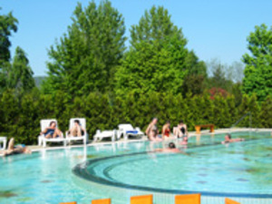 http://vadas.sk/, Vložil / webový link/ zdroj: http://vadas.sk/