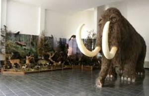 http://www.kysuckemuzeum.sk/, Vložil / webový link/ zdroj: http://www.kysuck