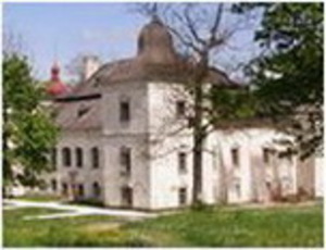 http://www.muzeumhanusovce.sk/, Vložil / webový link/ zdroj: http://www.muze