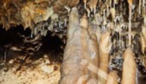 http://www.ssj.sk/sk/jaskyna/8-driny, Vložil / webový link/ zdroj: http://ww